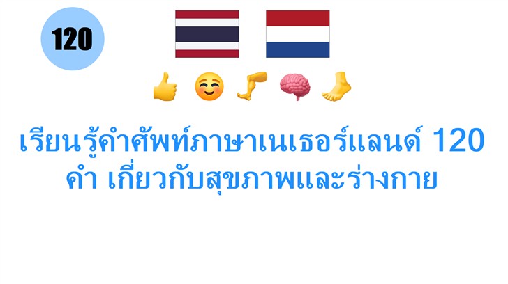 เรียนรู้คำศัพท์ภาษาเนเธอร์แลนด์ 120 คำ เกี่ยวกับสุขภาพและร่างกาย